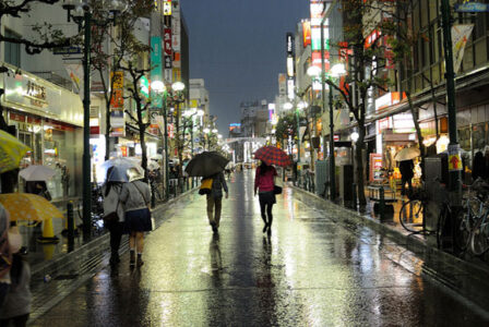 A New Movement for Health and Happiness: Next Steps Image